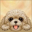 Etui Nimmy Big Eyed Lying Teddy Poodle MagSafe do iPhone 18 Pro / 17 Pro brązowy